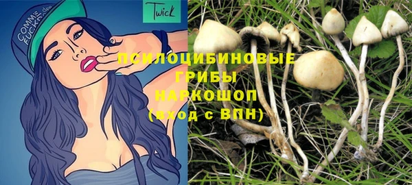 гашик Абинск