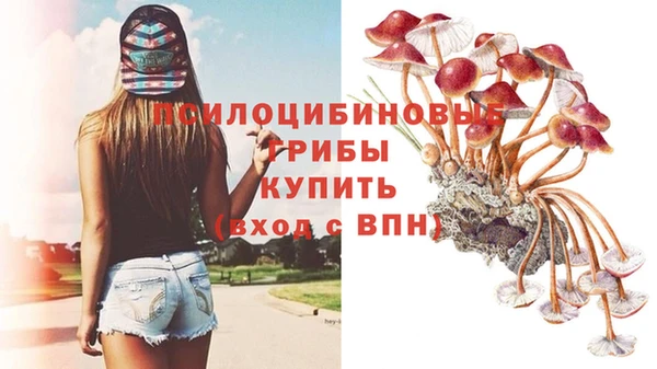 героин Абаза