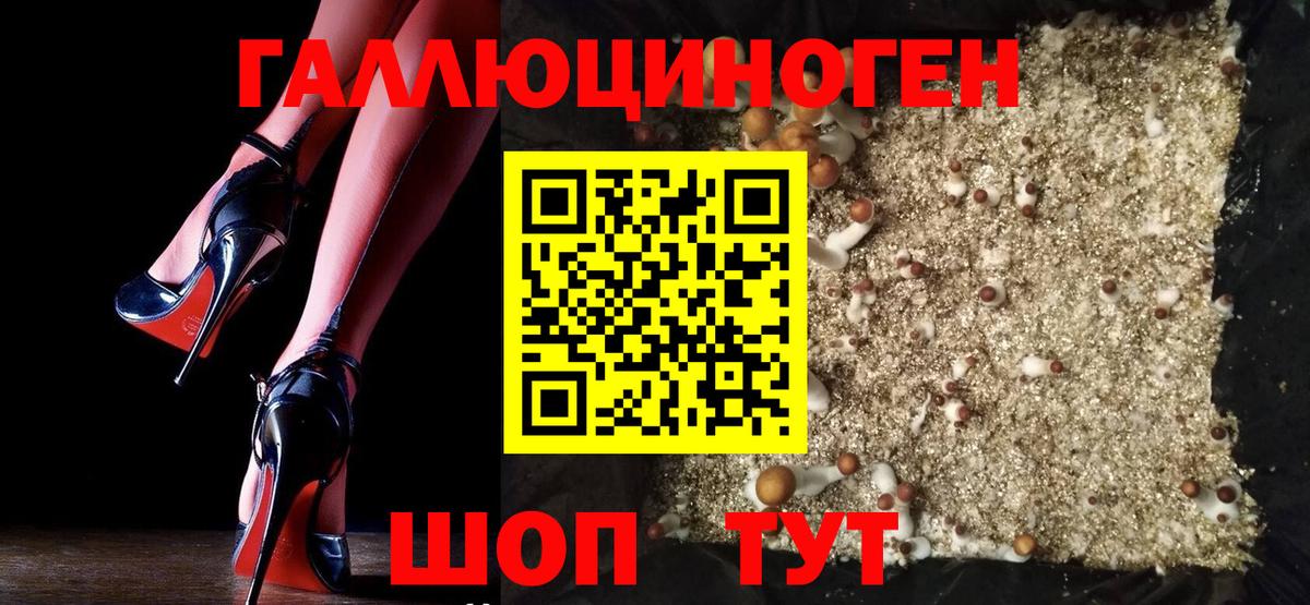 Галлюциногенные грибы Cubensis  Галлюциногенные грибы Magic Shrooms  Новочебоксарск  Вход с VPN 